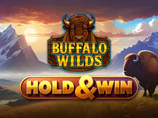 Buffalo Wilds game cover